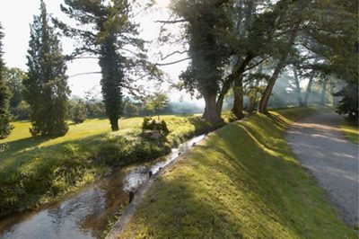 1802 hotel surroundings