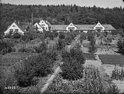 Pantli housing estate (Schweizersbild) with fruit and vegetable gardens, photograph 1942
