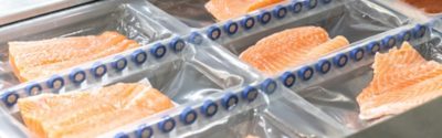 Salmon coming out of a conveyor belt in a seafood factory