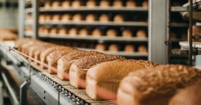 Loafs of bread in a bakery on an automated conveyor belt