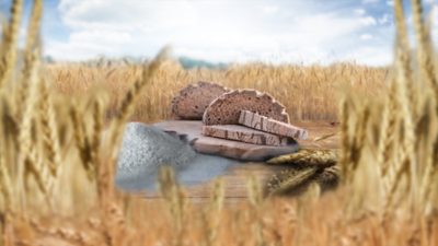 Agriculture Products in Cornfield Bread