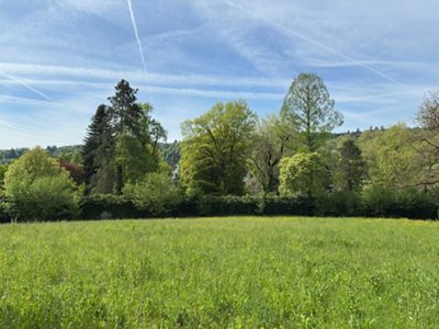 Die Baumlandschaft des Arboretums mit Blick nach Süden, durch die Teile des Klosterguts Paradies hindurchschimmern.