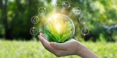 
Hands protecting globe of green tree on tropical nature summer background, Ecology and Environment concept