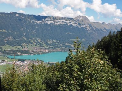 Rückblick Ausflug P09 am 22. August 2022 - Schynige Platte