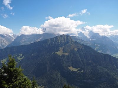 Rückblick Ausflug P09 am 22. August 2022 - Schynige Platte