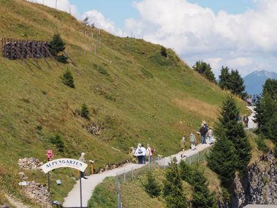 Rückblick Ausflug P09 am 22. August 2022 - Schynige Platte