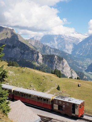 Rückblick Ausflug P09 am 22. August 2022 - Schynige Platte