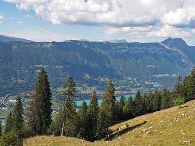 Rückblick Ausflug P09 am 22. August 2022 - Schynige Platte