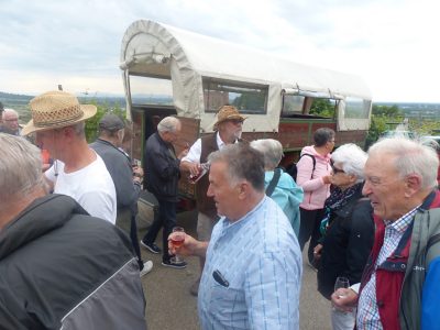 Rückblick Ausflug P05 am 2. Juni 2022 - Rebberg Besichtigung in Planwagen / Spargelessen