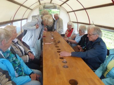 Rückblick Ausflug P05 am 2. Juni 2022 - Rebberg Besichtigung in Planwagen / Spargelessen