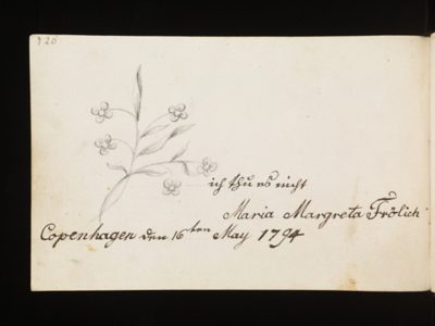 Flowers drawn by Maria Margreta Fröhlich in Copenhagen, 16th May 1794