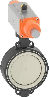 Y1130 gfc GN-200 Gloss BBST QM アウトレット LFUSG-B - Watts