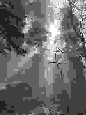 sdr