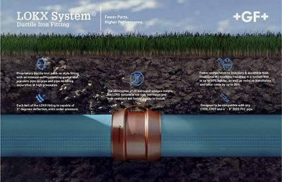 Learn More about LOKX