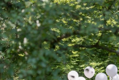 Celebrate your wedding in Klostergut Paradies