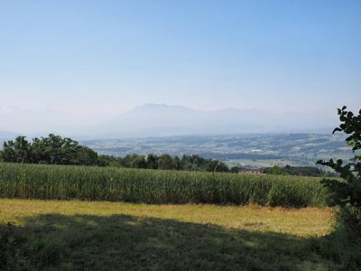 p06 2025