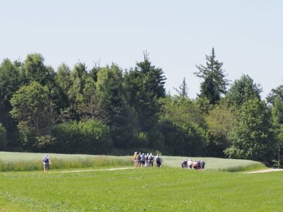 p06 2025