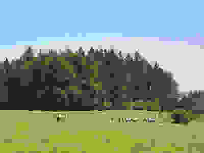 p06 2025