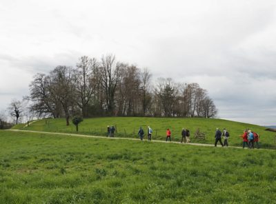 Ausflug-P01-2022-Bözen-Menü