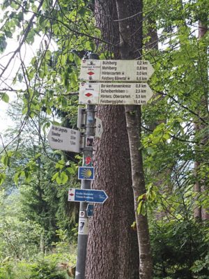 P09 Wanderung Hinterzarten Titisee 2024