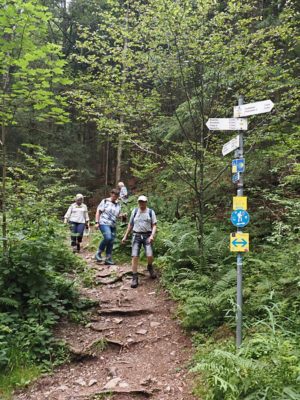 P09 Wanderung Hinterzarten Titisee 2024