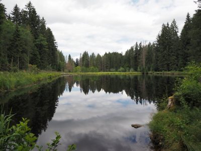 P09 Wanderung Hinterzarten Titisee 2024