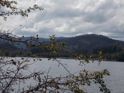 P09 Wanderung Hinterzarten Titisee 2024