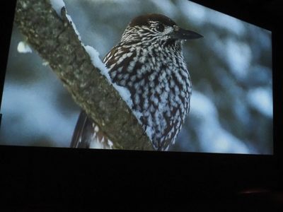 Ausflug P9 - Vogelwarte Sempach 5. Juli 2023