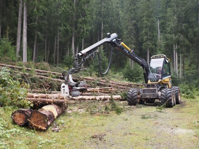 Rückblick Wanderung P10  6. September 2022 