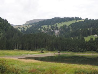 Rückblick Wanderung P10  6. September 2022 