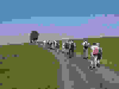 Wanderung P10 - Rheinufer-Rundweg 20. Juli 2023