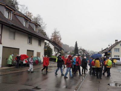 Rückblick Schlusswanderung P14 am 14. November 2022: Rüdlingen - Nack - Lotstetten