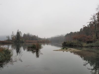 Rückblick Schlusswanderung P14 am 14. November 2022: Rüdlingen - Nack - Lotstetten