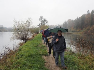 Rückblick Schlusswanderung P14 am 14. November 2022: Rüdlingen - Nack - Lotstetten