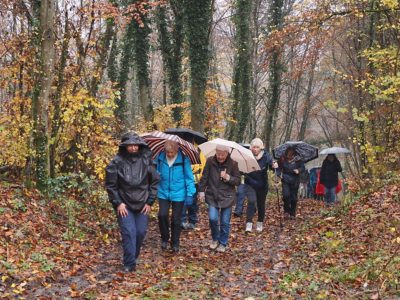 Rückblick Schlusswanderung P14 am 14. November 2022: Rüdlingen - Nack - Lotstetten