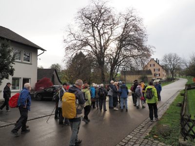 Rückblick Schlusswanderung P14 am 14. November 2022: Rüdlingen - Nack - Lotstetten