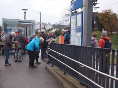 Rückblick Schlusswanderung P14 am 14. November 2022: Rüdlingen - Nack - Lotstetten