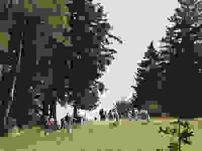 Wanderung P14 - Holzegg - Ibergeregg - Oberiberg 19. September 2023