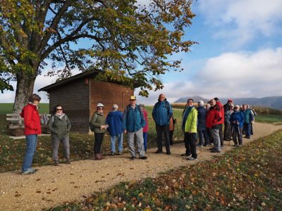 Wanderung P17 - Siblingerhöhe - Hallau 8. November 2023