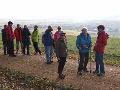 Wanderung P17 - Siblingerhöhe - Hallau 8. November 2023