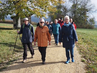 Wanderung P17 - Siblingerhöhe - Hallau 8. November 2023