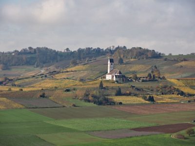 Wanderung P17 - Siblingerhöhe - Hallau 8. November 2023