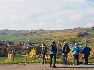 Wanderung P17 - Siblingerhöhe - Hallau 8. November 2023