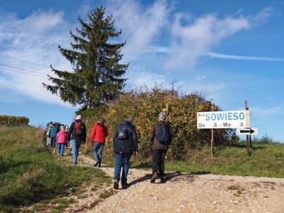 Wanderung P17 - Siblingerhöhe - Hallau 8. November 2023