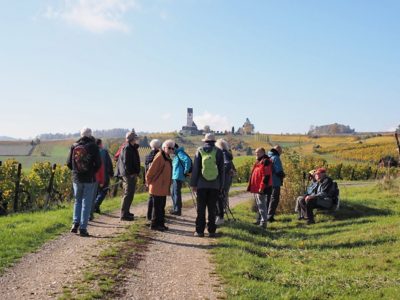 Wanderung P17 - Siblingerhöhe - Hallau 8. November 2023