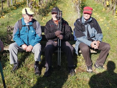 Wanderung P17 - Siblingerhöhe - Hallau 8. November 2023