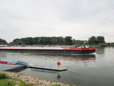 P05 2025