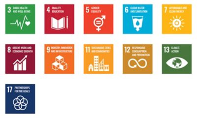 SDGs