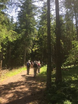Wanderung P06 Triberg 2022
