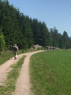 Wanderung P06 Triberg 2022